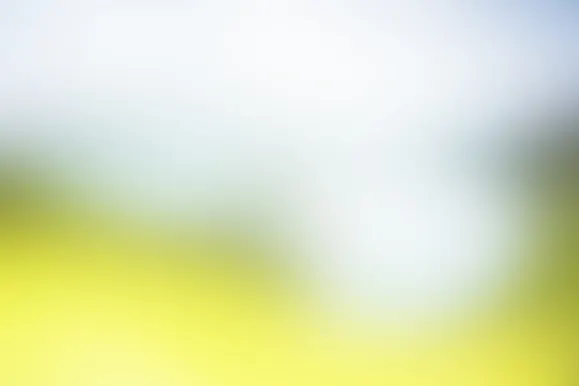 Fortune Casino Kundeservice